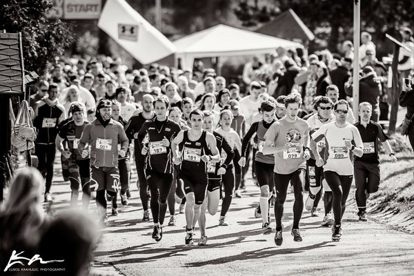 beh v zoo kosice 2015, fotograf kosice, svadba kosice, lubos krahulec, svadobne fotenie, fotograf na svadbu, svadba, fotky, fotenie, sport kosice,