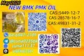 PMK Oil 28578-16-7 and B.MK 5449-12-7 With 49851-31-2