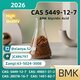 BM/K 5449-12-7 glycidic acid sodium salt PMK 28578-16-7 free shipping