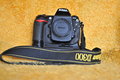 Nikon D300