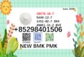 5449-12-7 cas 28578-16-7 BMK PMK powder ready to ship