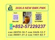 Premium BMK Glycidic Acid CAS 5449127 Trusted Supplier