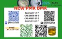 CAS 5449-12-7 Glycidic Acid sodium salt BMK Powder Analytical Reagents Supplier