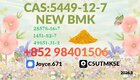 BMK Powder CAS 5449-12-7 Stock Pharmaceutical Intermediates
