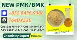 Stock Available P.MK 28578-16-7 B.MK 5449-12-7  49851-31-2 1451-82-7