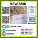 CAS5449-12-7 new BMK power Glycidic Acid (sodium salt) stable supplier