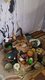 SANGOMA IN Polokwane➸[+2781°874°4558]”➸⓶Seshego-EXTREMELY TRADITIONAL HEALER IN THOHOYANDOU,JANE FURSE,LEBOWAKGOMO,MANKWENG, MOK