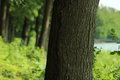 Exakta 28-300 mm f4.0-6.3, závit canon EF