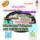 Cagrilintide Powder Cagrilintide CAS 1415456-99-3