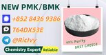 Worldwide Trading Vendor 28578-16-7 Powder 5449-12-7 P.MK Oil