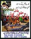 online kala jadu |kala ilam |Best Real kala jadu in USA |Top Authentic Amil Baba for Kala Jadu, Top Kala Jadu Expert Amil Baba i
