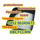 Protonitazene CAS 119276-01-6