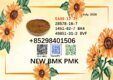 Ready to Ship 5449-12-7 BMK PMK in stock 28578-16-7