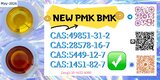 BMK CAS 5449-12-7 operating together with PMK CAS 28578-16-7