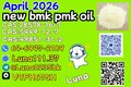 NEW CAS 28578-16-7 P.MK/5449-12-7 BM.K / 49851-31-2/1451-82-7
