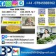 cas5449-12-7 B M K P M K Chemical raw materials