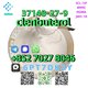 CAS:37148-27-9  clenbuterol
