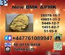 New B.M.K 5449-12-7 P.M.K oil 28578-16-7  good service