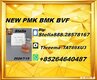 Industry Expertise 28578-16-7 BM.K CAS:5449-12-7/ pertise