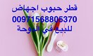 00971568805370)حبوب الإجهاض في الدوحة