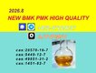 PMK BMK Oil Powder CAS 28578-16-7 | Source Factory
