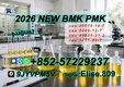 Buy PM.K CA.S:28578-16-7/ BM.K 5449-12-7/ low-budget chemical  sourcing options