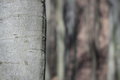 Isconar 135mm f4, závit M42 14 lamelová clona