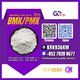 Sell New BM.K/ CAS:28578-16-7/ PM.K/5449-12-7