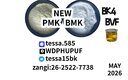 CAS 5449-12-7 BMK Glycidic Acid sodium salt Powder 99% High Purity Fast Shipping