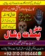 KALA JADU EXPERT, AMIL BABA IN PAKISTAN, 031031666444 Amilbabakalajadu , KALA JADU EXPERT, AMIL BABA IN ISLAMABAD
