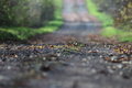 Pentacon 200mm f4, závit M42 15 lamelová clona