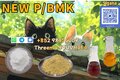 PMK BMK China Manufacturer Raw Materials precursor Powder Oil In Stock
