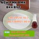 NEW PMK BMK CAS 5449-12-7 & CAS 1451-82-7 This Batch Start Sale
