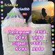 hot sale 5cl 5cladba raw materials 4fadb 5fadb