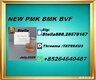 New PM.K 28578-16-7/ BM.K CAS:5449-12-7/ Worldwide Network