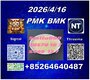 Feed-stocks P-MK CAS 28578-16-7 CAS B-MK 5449-12-7/ 49851-31-2