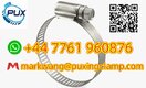 Direct Selling high-quality hose clamp Stock available now