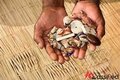 LOVE SPELLS CASTER NAMIBIA✨[([+27633832074)]✨IN ZIMBABWE, HARARE, MUTARE, BULAWAYO, GWERU, CHINHOYI, KWEKWE, MASVINGO, KADOMA