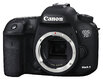 CANON EOS 7D MARK II + CANON 70-200MM f/2.8L IS II USM