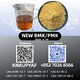 CAS 28578-16-7 P.MK Oil High Purity 5449-12-7 B.MK