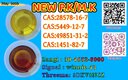 Best Value 1451 - 82 - 7 bk4 49851 - 31 - 2 In Stock