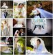 Svadobný fotograf - Piešťany,Hlohovec,Trenčín,Trnava, Nitra