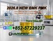 PMK BMK Oil Powder CAS 28578-16-7 | Professional Chemical Trading Service