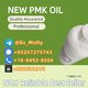 New PMK Oil (CAS 28578-16-7) - Reliable Global Supplier