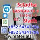 5F/5F-ADB/5F-MDMB-PINACA cas:1649-18-9