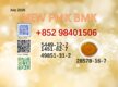 CAS 28578-16-7 and 5449-12-7 quality certified 1451-82-7/ 49851-31-2 BMK powder PMK oil