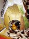 Love Spells Caster  +27790293623 Gay & Lesbian spell / SANGOMA /SPIRITUAL HEALER /Voodoo Spells Caster /Death & Revenge Spells i