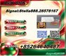 Rich export exposure P.MK 28578-16-7 B.MK CAS 5449-12-7 