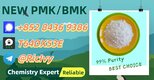 CAS: 28578-16-7,5449-12-7 New P.MK B.MK Powder/Oil