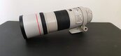Canon 300mm f/4 IS USM